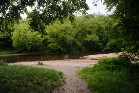 Leśna ścieżka prowadzi na małą piaszczystą plażę nad rzeką Świder otoczoną gęstymi, zielonymi drzewami w dzielnicy Świde