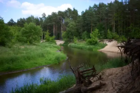 Spacer nad rzeką Świder