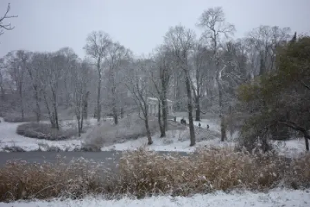 Ośnieżony park Łazienki Królewskie w Warszawie z zamarzniętym stawem, drzewami i alejką spacerową