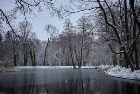 Ośnieżone drzewa wokół zamarzającego stawu w parku Łazienki Królewskie w Warszawie