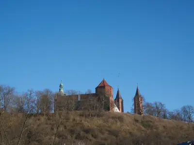 Zimowy widok na Wzgórze Tumskie w Płocku z katedrą i ceglaną wieżą na skarpie nad Wisłą pod błękitnym niebem