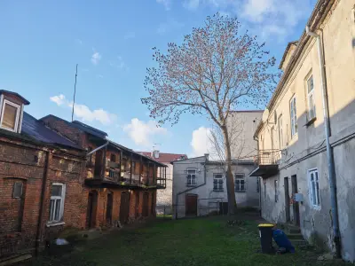Podwórko między ceglaną oficyną i tynkowaną kamienicą w Płocku z dużym drzewem pośrodku